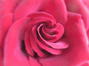 Embody Wholeness